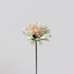 sku10 Wabiv Natural handmade dried flowers