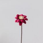 sku5 Wabiv Natural handmade dried flowers