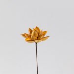 sku8 Wabiv Natural handmade dried flowers