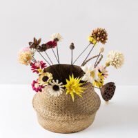 Wabiv Natural handmade dried flowers