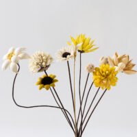 Wabiv Natural handmade dried flowers