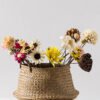 Wabiv Natural handmade dried flowers