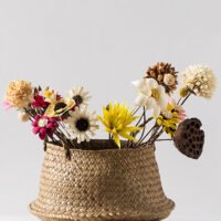 Wabiv Natural handmade dried flowers