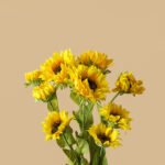 Wabiv Simulated sunflower flower