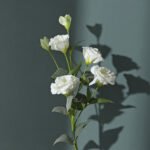 Wabiv Artificial bellflower