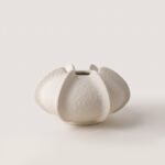 sku1 Starfruit multi-petal vase