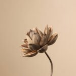 Natural dried flower arrangements