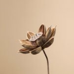 Natural dried flower arrangements