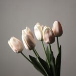 Wabiv Moisturizing Tulip