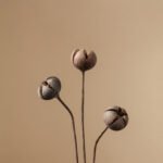 Natural dried flower arrangements