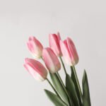 Wabiv Moisturizing Tulip