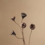 Natural dried flower arrangements