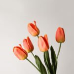 Wabiv Moisturizing Tulip