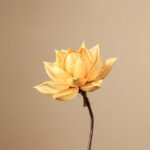 Natural dried flower arrangements