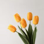 Wabiv Moisturizing Tulip