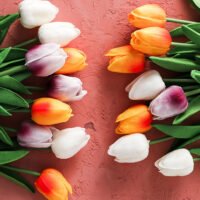 Wabiv Moisturizing Tulip