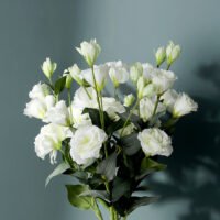 Wabiv Artificial bellflower