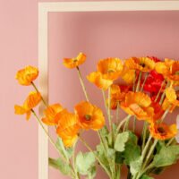 Wabiv Simulated poppy flowers