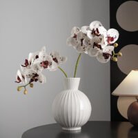 zhutu2 Wabiv spherical striped vase