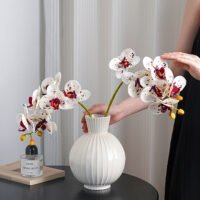 zhutu3 Wabiv spherical striped vase