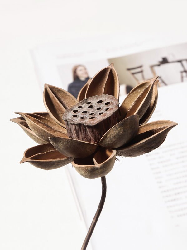 Natural dried flower arrangements