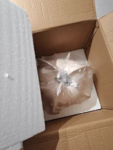 Starfruit multi-petal vase