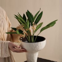 Wabiv pure joy minimalist elegant white ceramic vessel for modern homes